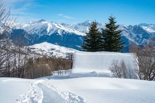 Balade au chalet d’alpage avec l'ESF