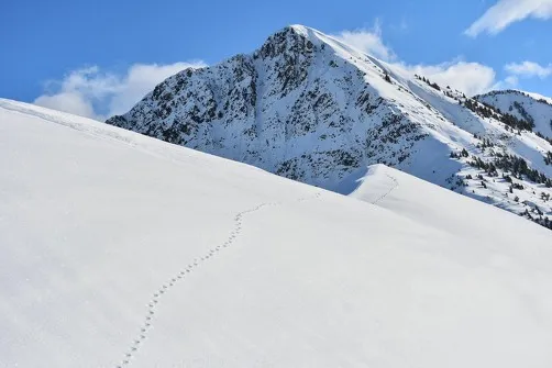 Randonnée Les Trappeurs avec l'ESF
