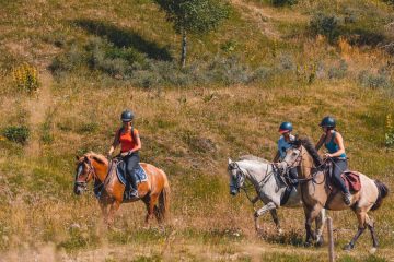 © Horse riding day trip - Equi-quality - Corbier Tourisme