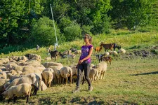 Fête de la Montagne et des Traditions