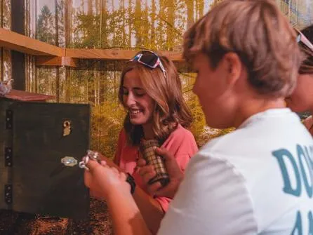 Escape game - The druid of the Taraveray forest