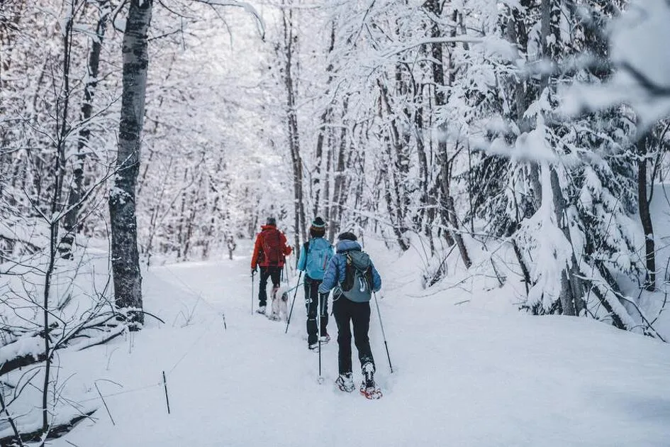 © L'Oeillette, in winter_Le Corbier - Clara Ferrand