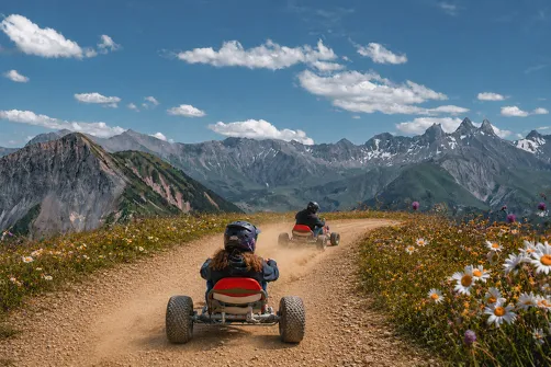 Alpikart