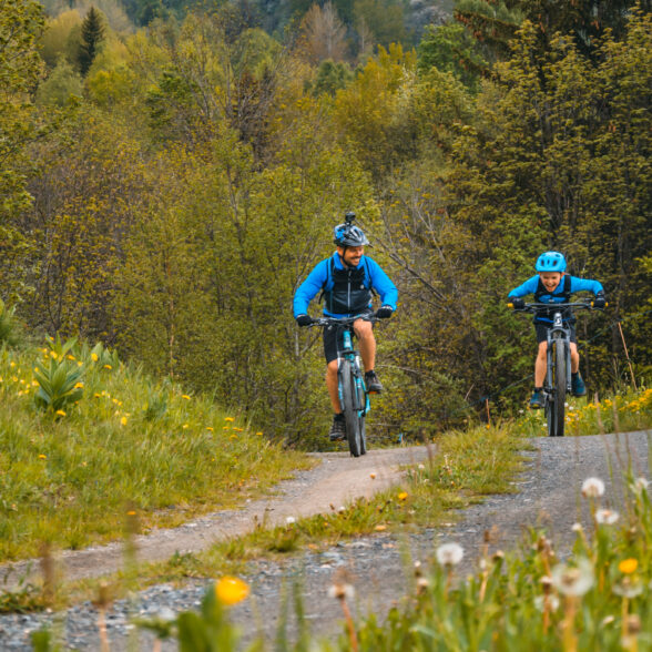 Photo famille qui fait du vélo en forêt