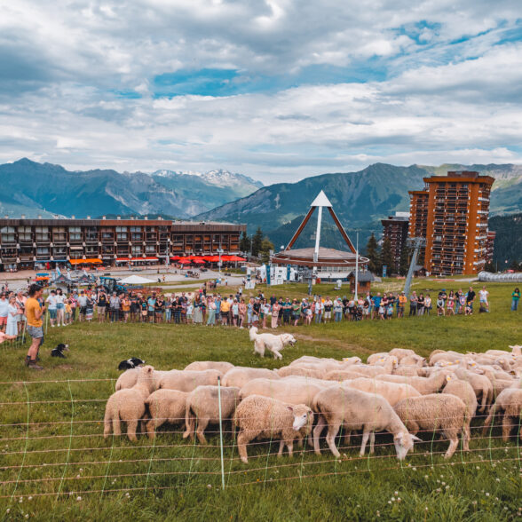 ©CorbierTourisme_E24_Rencontre avec une bergère (2)