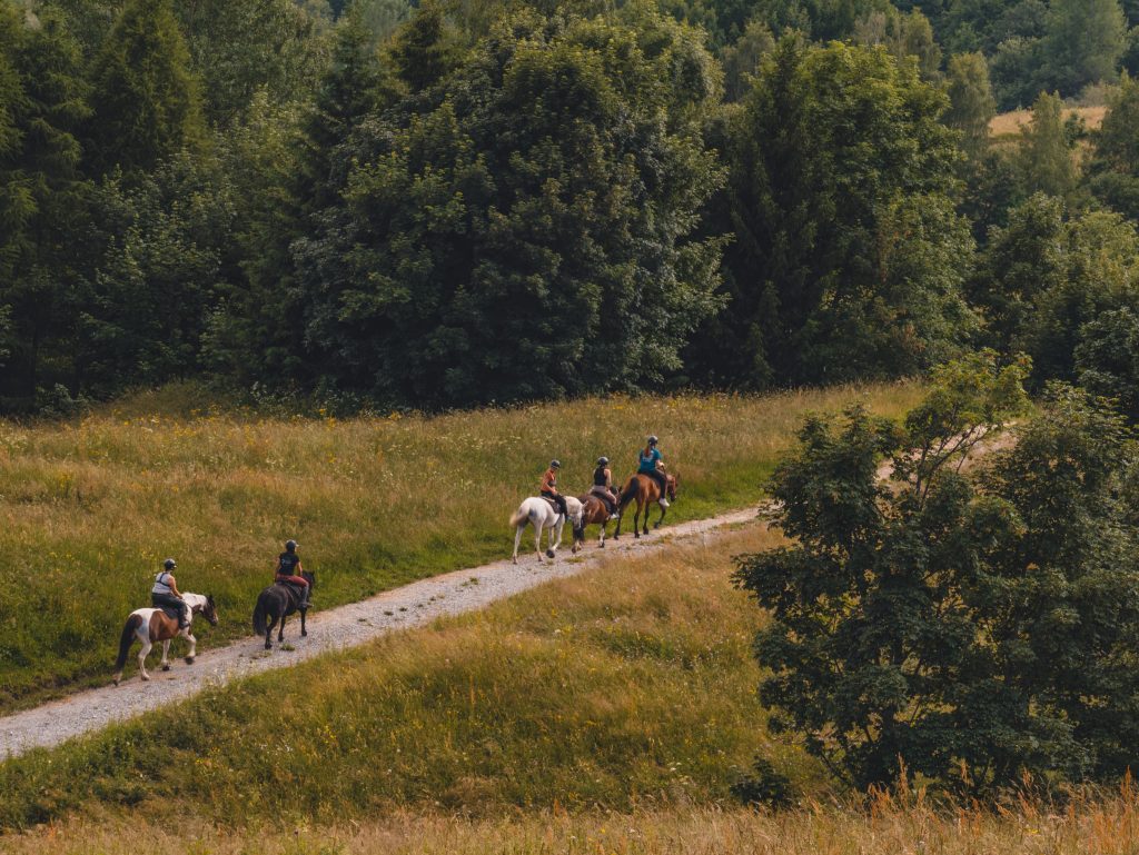 Photo d'une balade à cheval au corbier